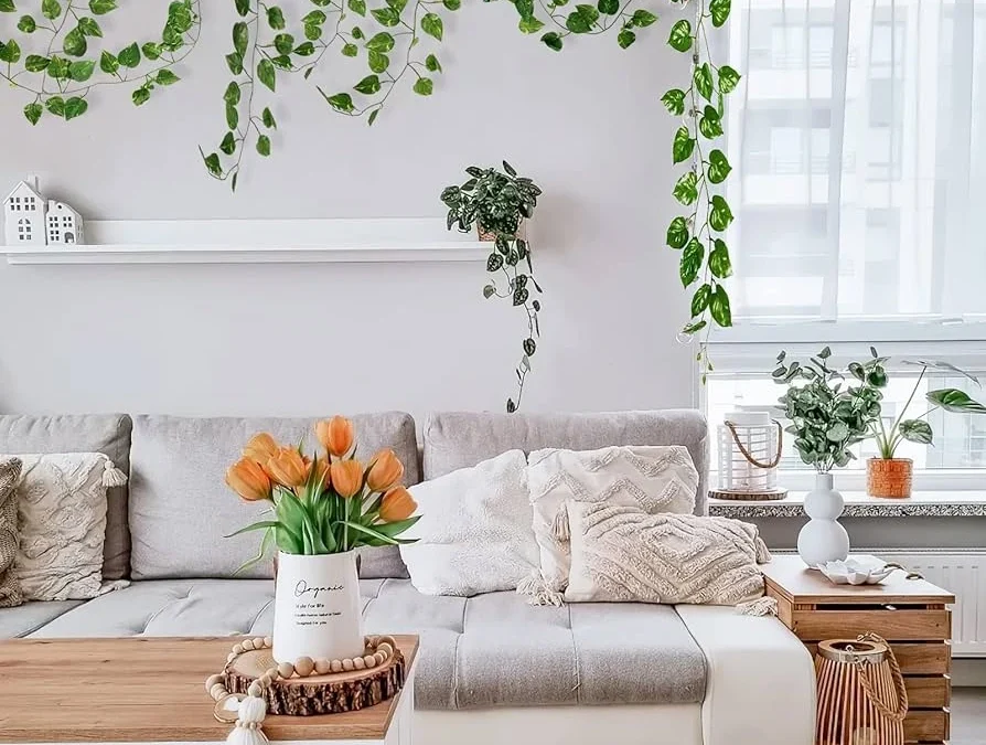 گیاه پیچک انگلیسی