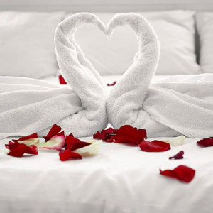 تزیین اتاق عروس با قو