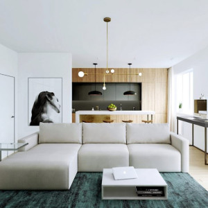 دیزاین خانه مدرن شیک با مبلمان و سفید و فرش سبز آبی