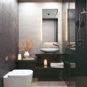 حمام و سرویس بهداشتی مدرن کوچک با دیوارهای تیره و سفید با روشویی مشکی و اتاق دوش شیشه ای